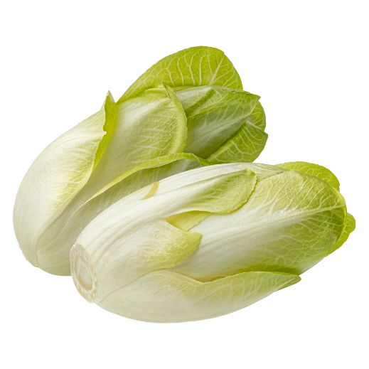 Chicorée