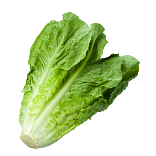 Römersalat