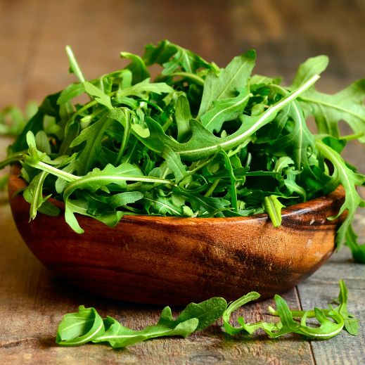 Rucola