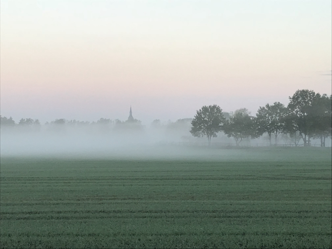 Nebel